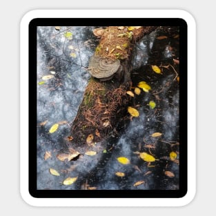 Ecstasy of Fall Sticker